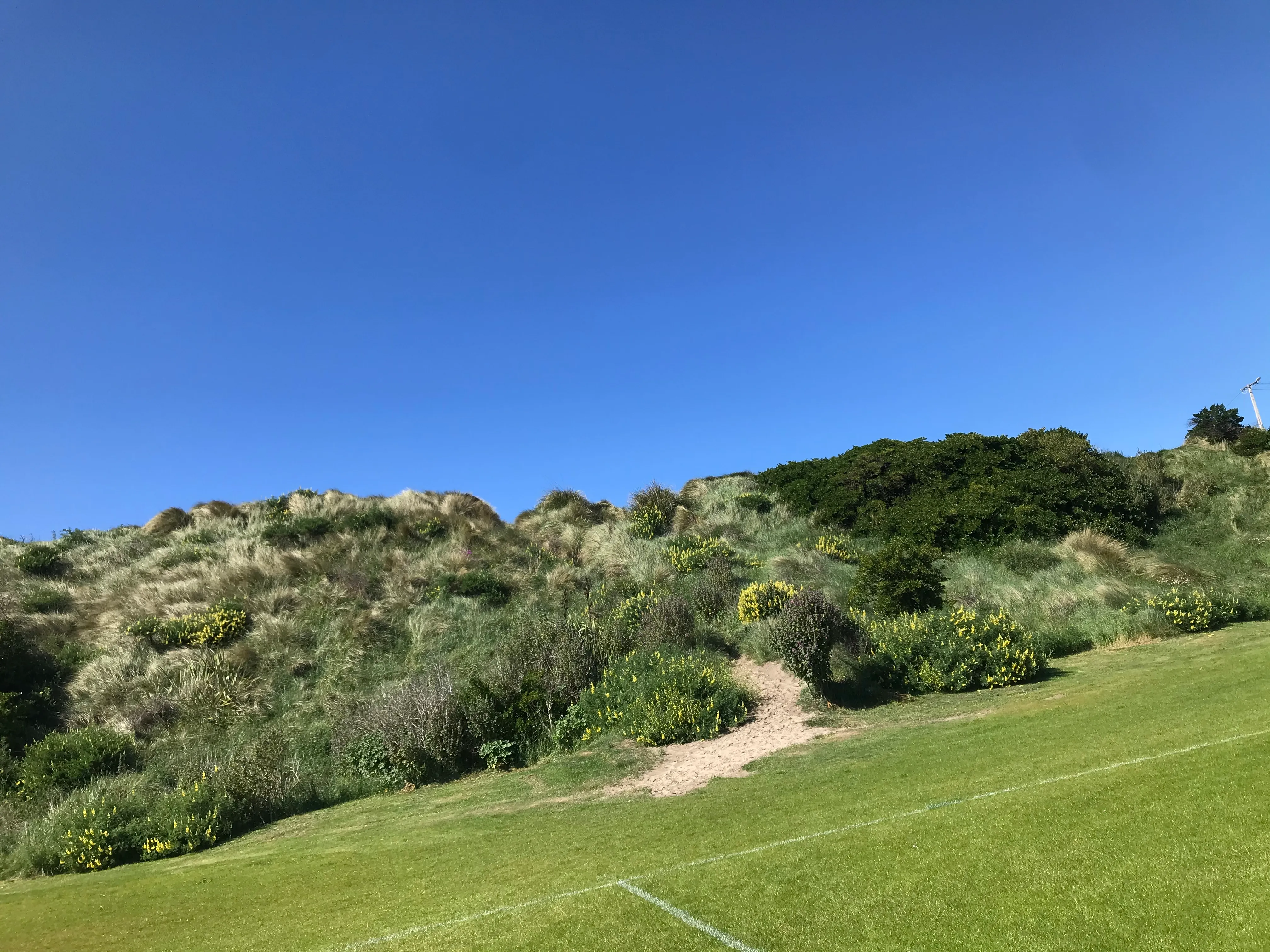 St Kilda, Dunedin